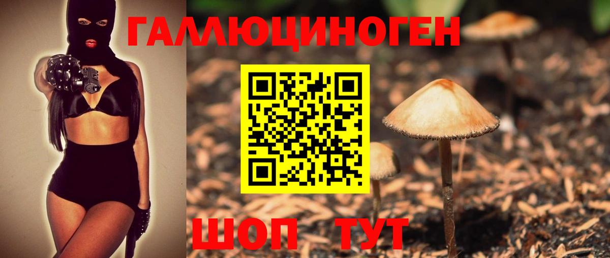 Галлюциногенные грибы Psilocybine cubensis Лянтор